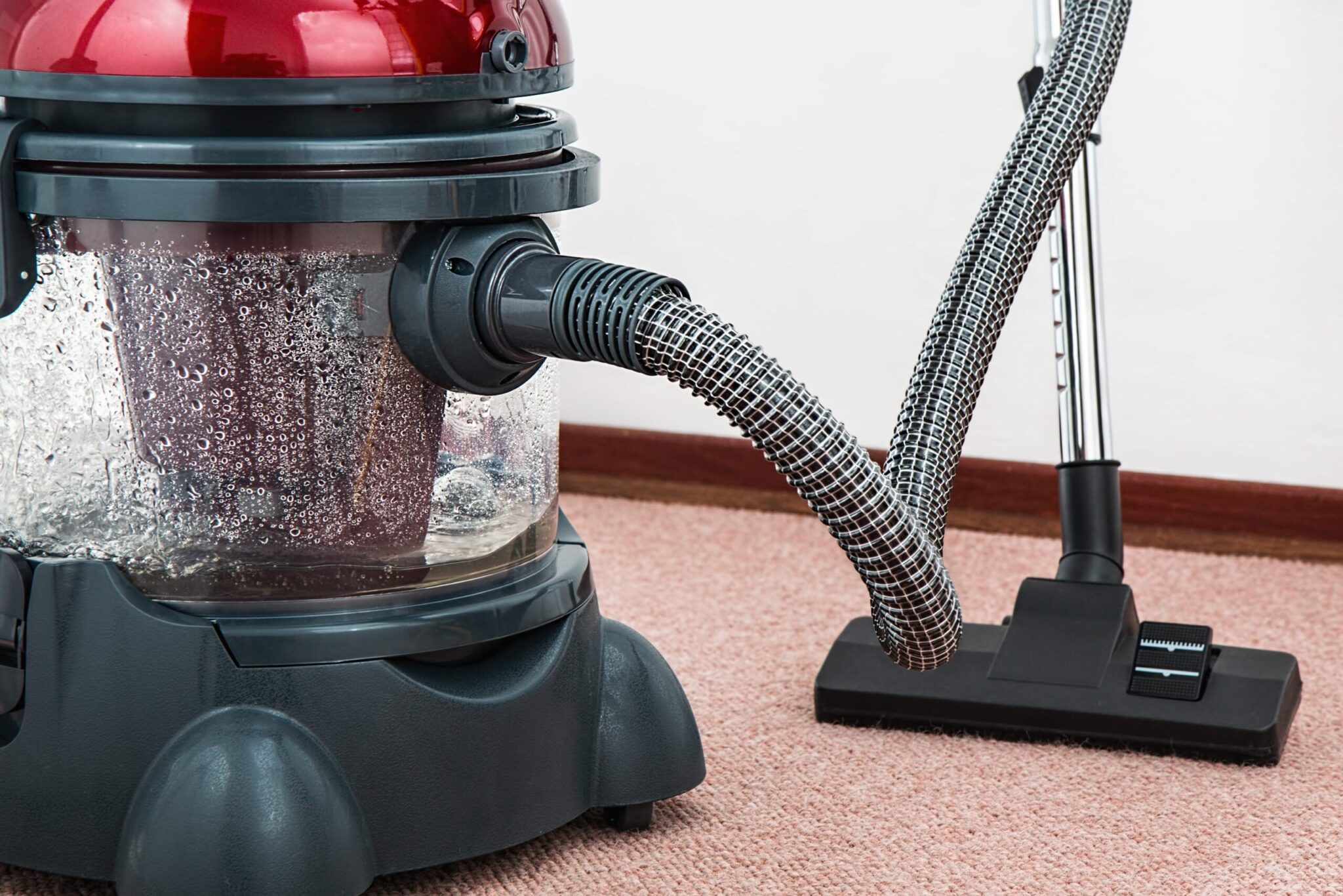 How To Get Old Urine Smell Out of Carpet Maintenance One Office