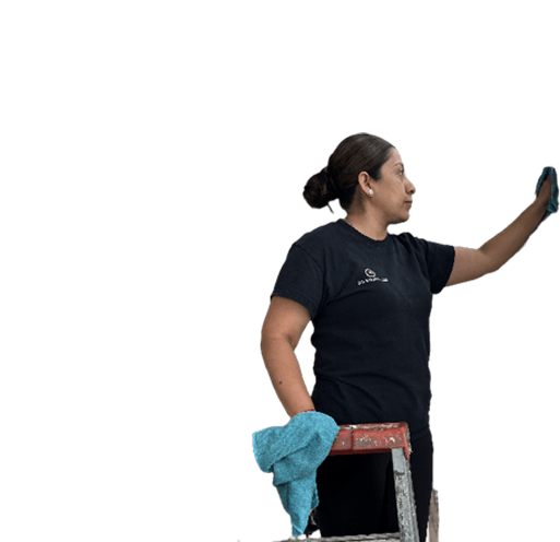 Cleaning Lady 2