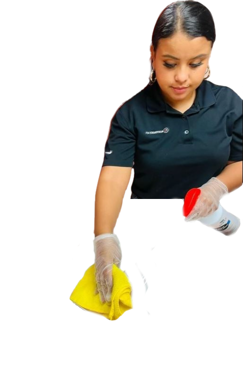 Cleaning Lady1