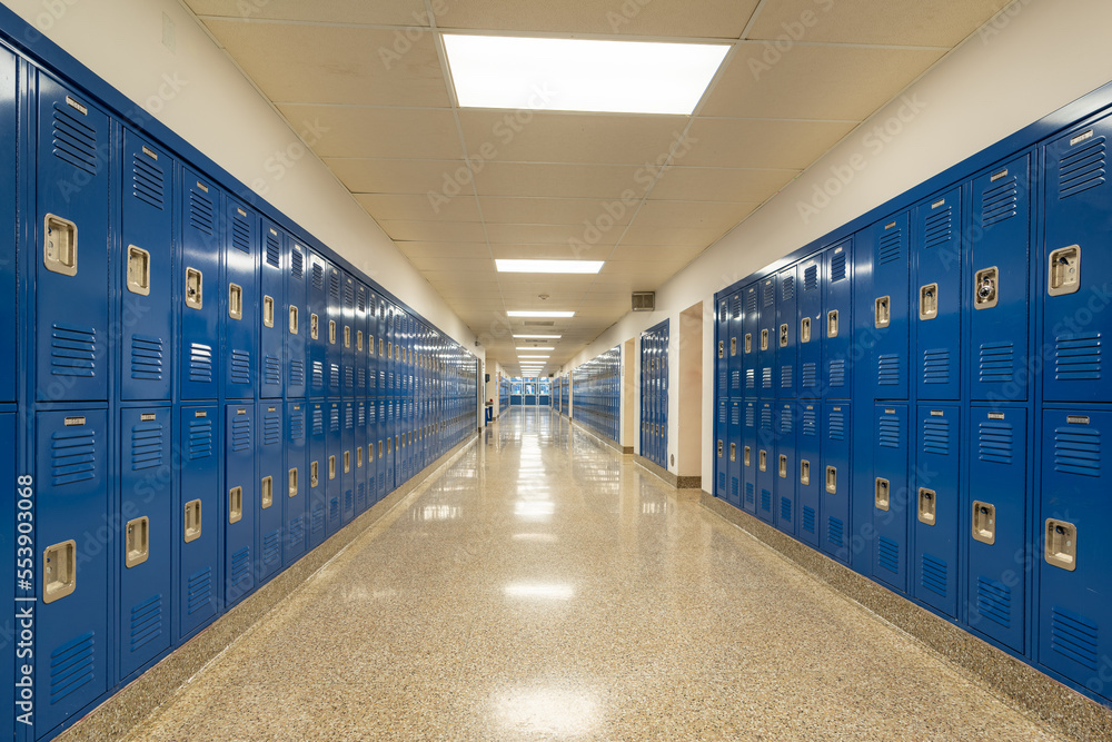 Why Summer is Ideal for School Cleaning